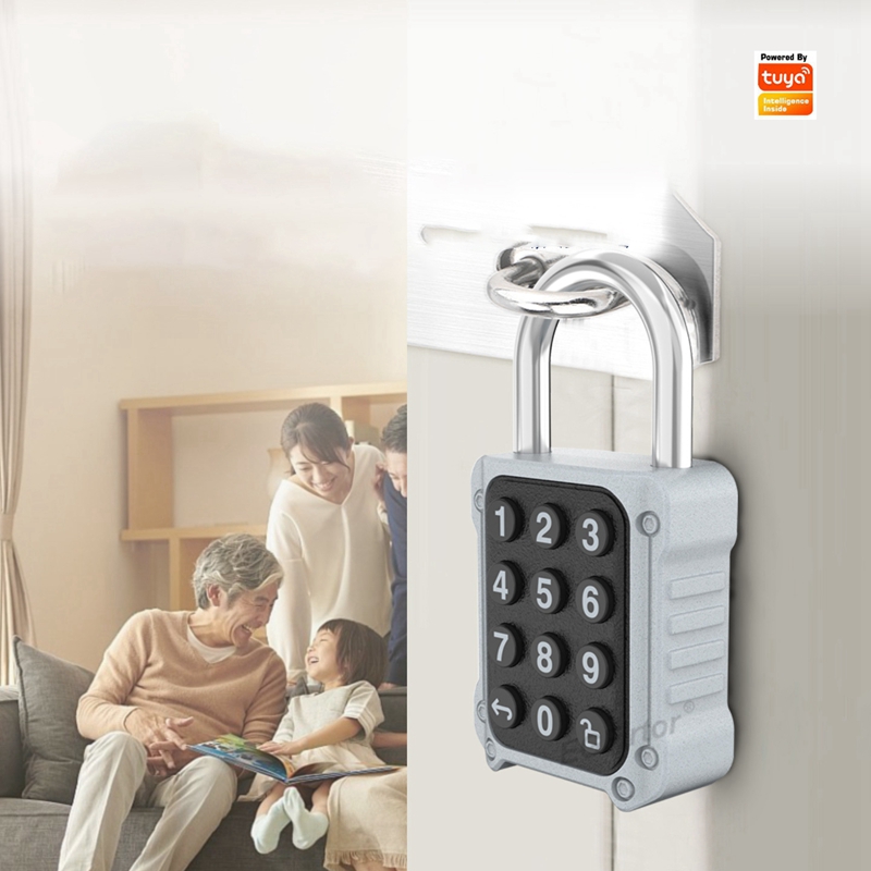 Home Security Keypad - EGFirtor Tuya APP Elektronik Akıllı Asma